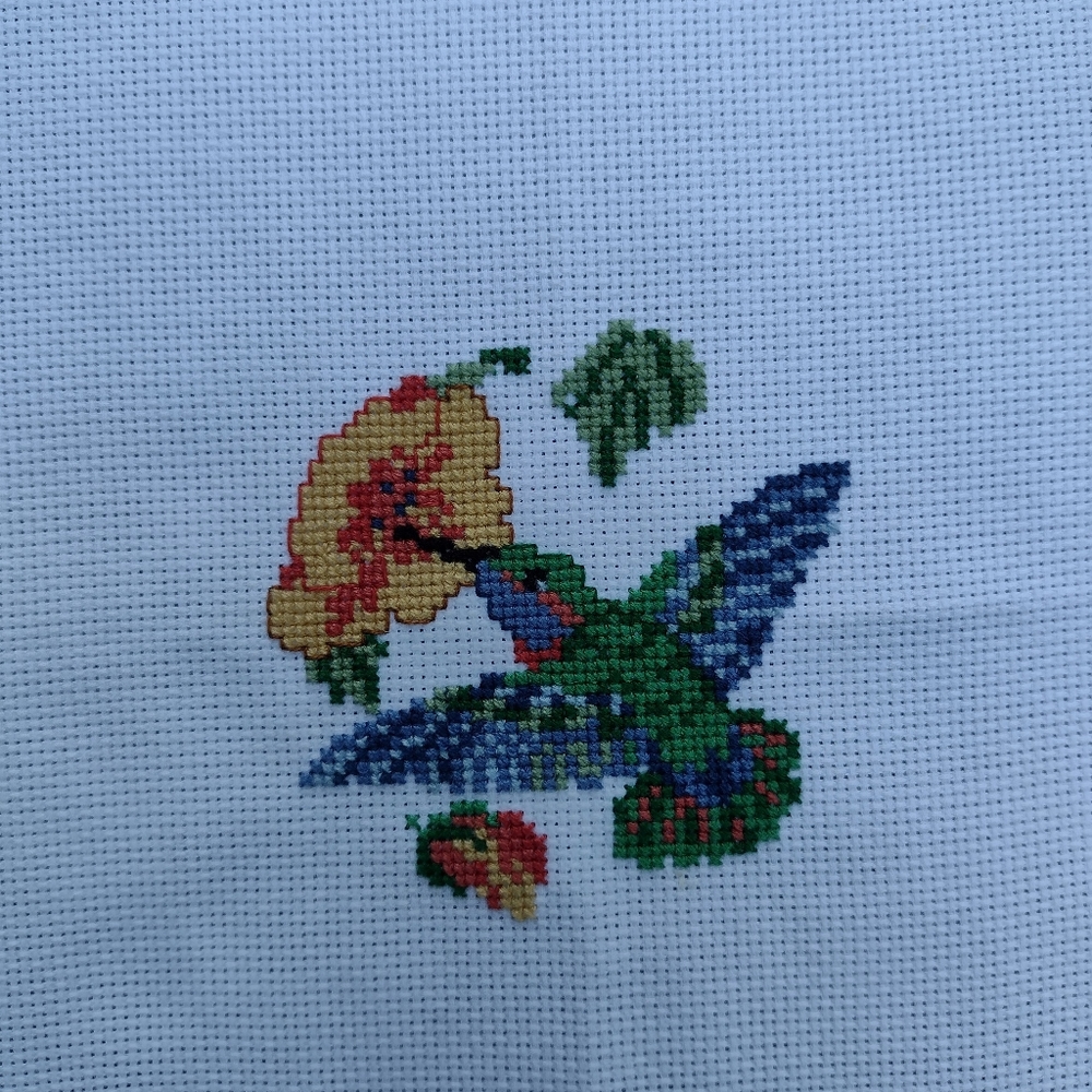 Hummingbird counted crossstitch canvas